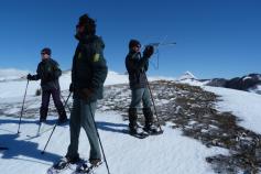 agentes medioambientales de la Junta de Castilla y León buscando uno de los dos ejemplares de urogallo cantábrico agentes medioambientales de la Junta de Castilla y León buscando uno de los dos ejemplares de urogallo cantábrico