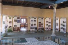 Exposición sobre el urogallo cantábrico Exposición sobre el urogallo cantábrico