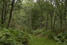 Hábitat