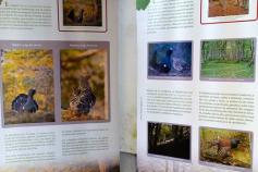 Exposición sobre el urogallo cantábrico en Cudillero