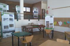 Exposición del urogallo cantábrico en el Parque Natural de Redes (Asturias)