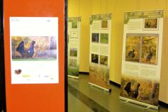 Exposición del urogallo cantábrico en San Juan de la Arena (Soto del Barco)