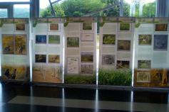 Exposición del proyecto LIFE+ Urogallo cantábrico en Benia de Onís (Asturias)