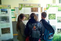 Exposición sobre el urogallo cantábrico en el Campus de Ponferrada de la Universidad de León