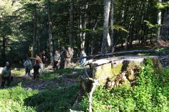 Intercambio LIFE+ Urogallo cantábrico con Polonia en la ZEPA Vega Liébana (Cantabria) 