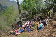 quipo que ha participado en la restauración de un cortín de abejas en zona de urogallo cantábrico Equipo que ha participado en la restauración de un cortín de abejas en zona de urogallo cantábrico
