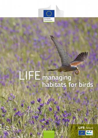 Birds 2013
