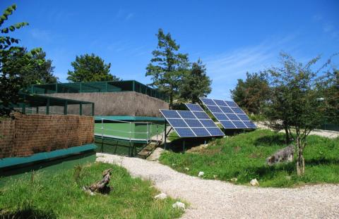 Centro de cría y reserva genética de Sobrescobio (Parque Natural de Redes). @César Pollo