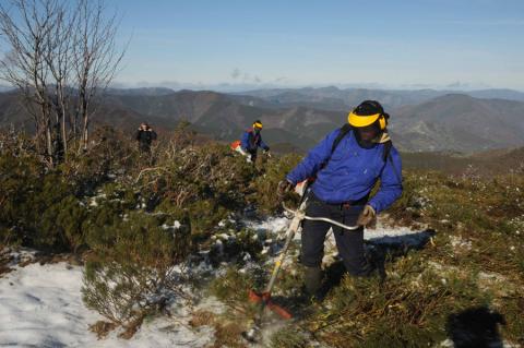 Avances del programa de custodia del territorio del LIFE+ Urogallo cantábrico