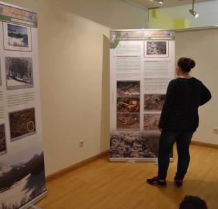 Exposición sobre el urogallo cantábrico en Ribadesella (Asturias)