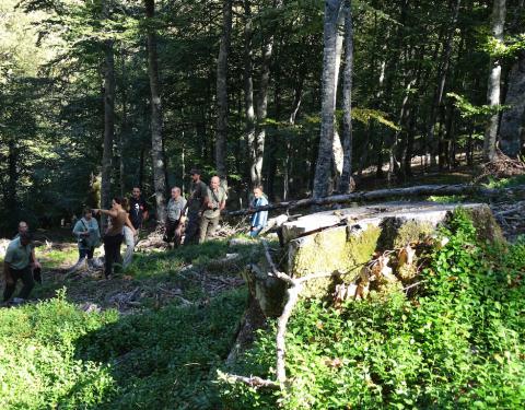 Intercambio LIFE+ Urogallo cantábrico con Polonia en la ZEPA Vega Liébana (Cantabria) 